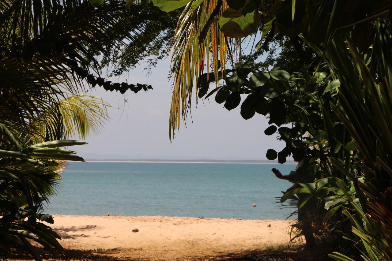 Coroaci Beach House Barra Grande  Buitenkant foto