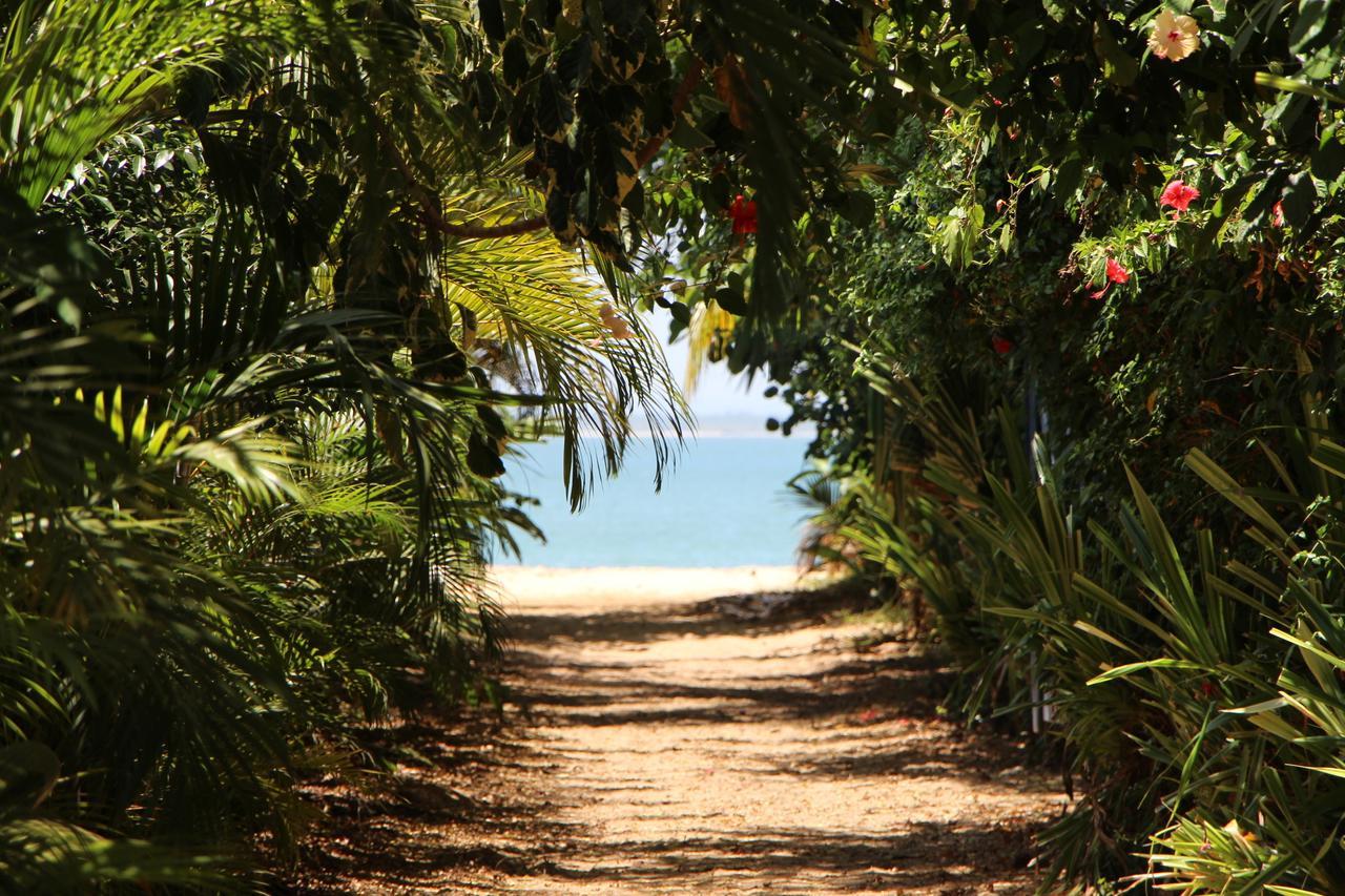 Coroaci Beach House Barra Grande  Buitenkant foto